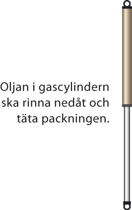 Rigg-gascylinder.png