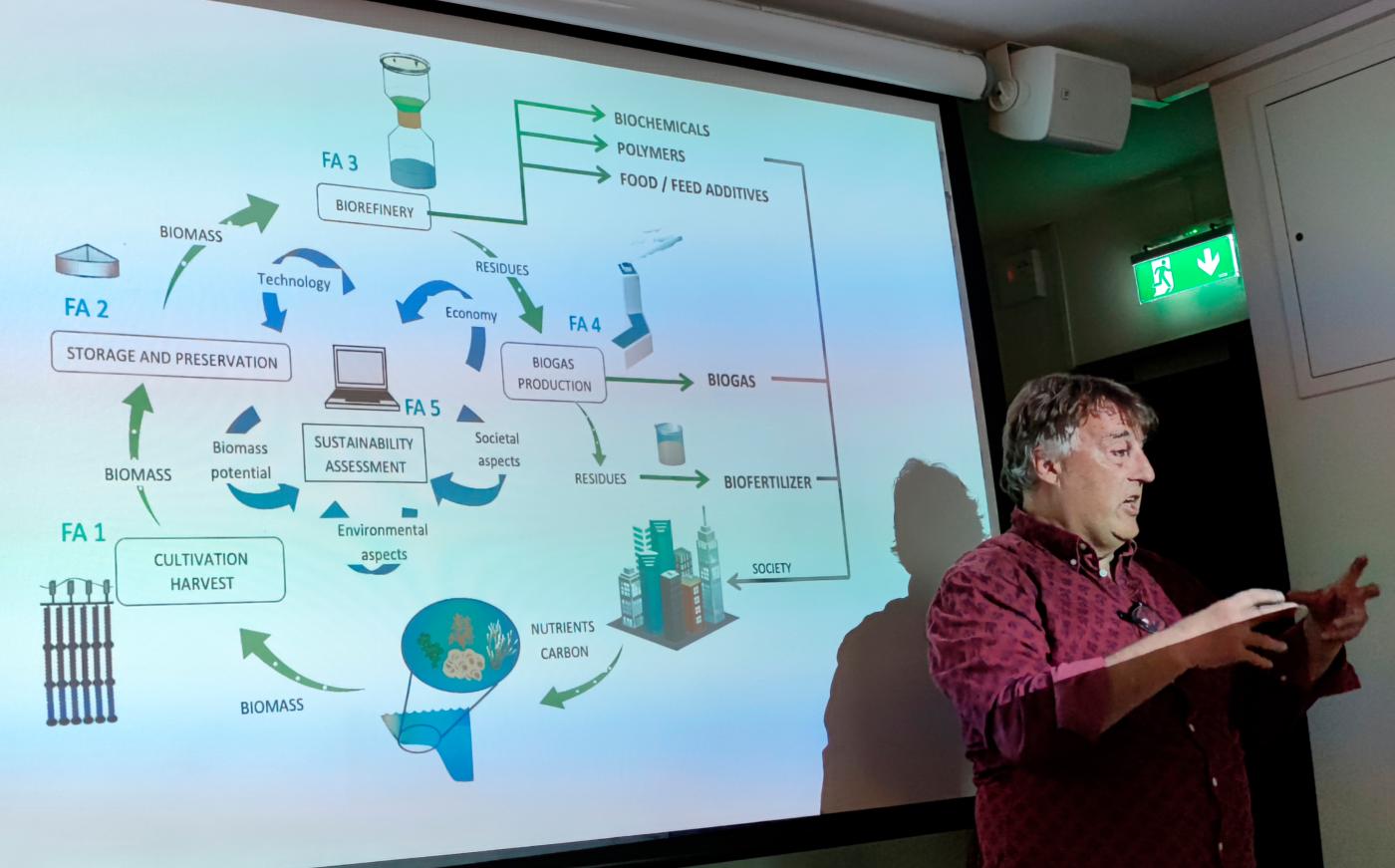 Föreläsning Gröndahl, bild tångens livscykel i SEAFARM-projektet